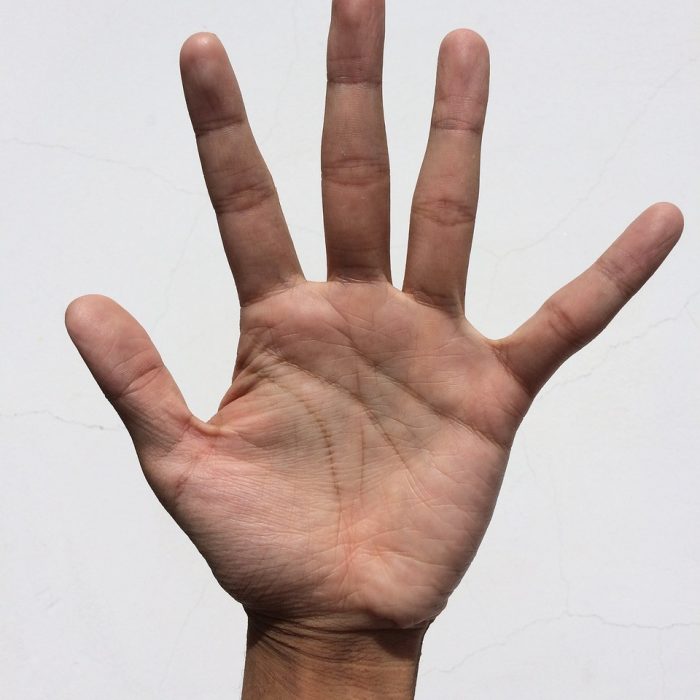 palm, hand, finger-1701980.jpg